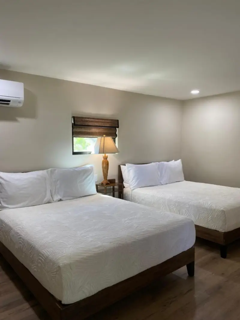 Standard Suite