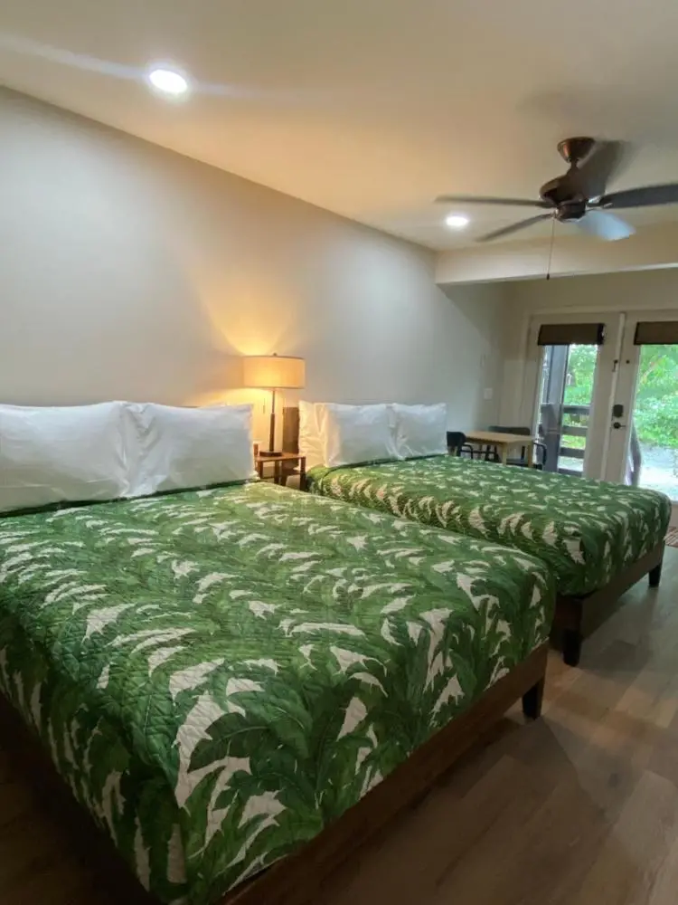 Double or Twin Room